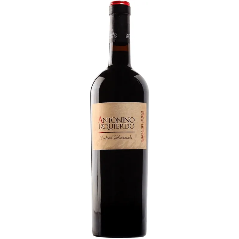 2009 | Bodegas Izquierdo Antonino Izquierdo | Ribera del Duero Free Delivery