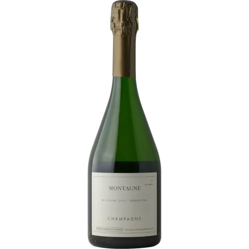 2012 | Domaine Les Monts Fournois 'Montagne' Verzy | Champagne Premium