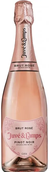 Discount Juve & Camps Brut Rose Pinot Noir Cava (750ml)