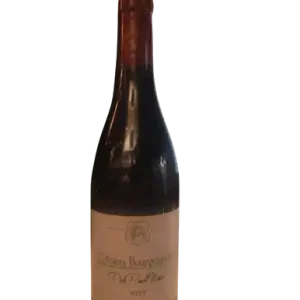 DOMAINE STEPHANE MAGNIEN COTEAUX BOURGUIGNONS PINOT NOIR FRANCE 2023 Hassle-Free Returns