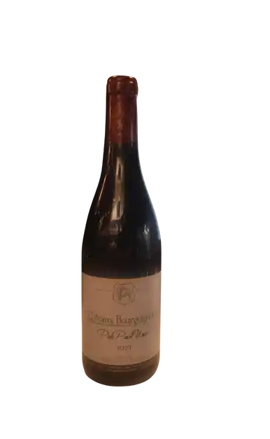 DOMAINE STEPHANE MAGNIEN COTEAUX BOURGUIGNONS PINOT NOIR FRANCE 2023 Hassle-Free Returns