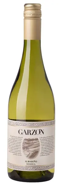 GARZON ALBARINO RESERVA WHITE WINE URUGUAY 2024 Must Have
