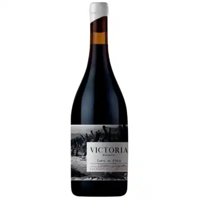 Best Price 2019 Las Compuertas Victoria Durigutti, Argentina Wine