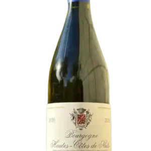 DOMAINE PATRICK HUDELOT WHITE WINE BOURGOGNE HAUTES COTES DE NUITS LES PLANCONS FRANCE 2022 Special Offer