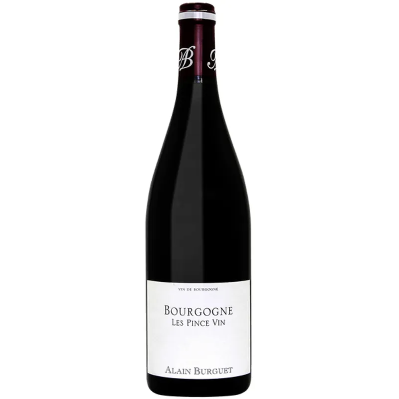 2019 | Jean Luc Eric Burguet Bourgogne Les Pince Vin | Burgundy Direct From Manufacturer