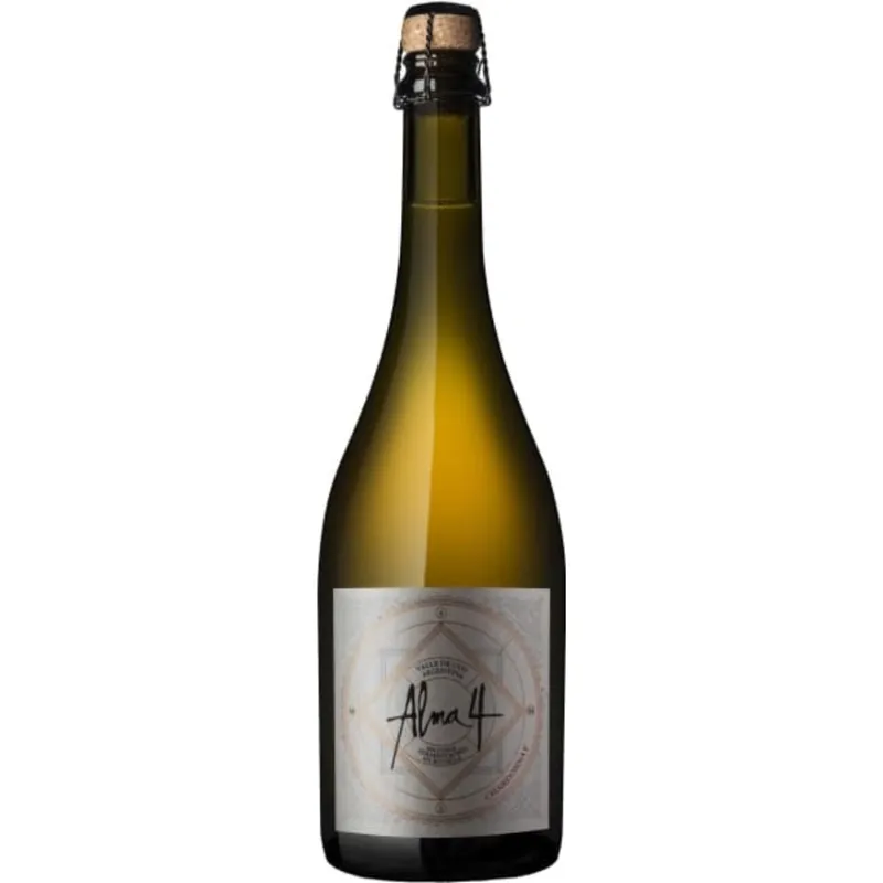 Limited Time 2020 Alma 4 Sparkling Chardonnay Roble, Uco Valley, Argentina