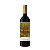 ENCANTADO ALENTEJANO VINHO TINTO RAVASQUEIRA PORTUGAL 750ML Place Order