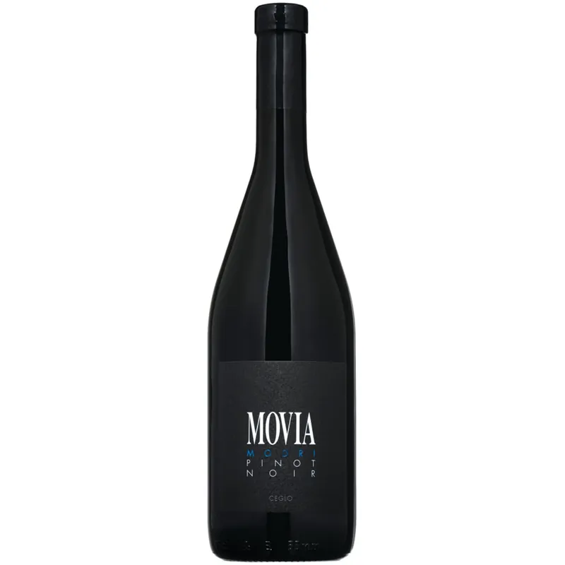 2021 | Movia Pinot Nero - Modri Pinot | Primorska Hassle-Free Returns