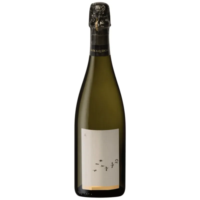 Budget 2022 | L'Antica Quercia A - Ancestrale Brut Nature | Prosecco