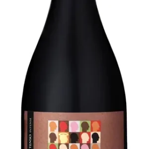 SANTOS DA CASA RESERVA VINHO REGIONAL ALENTEJANO PORTUGAL 2021 Professional Grade