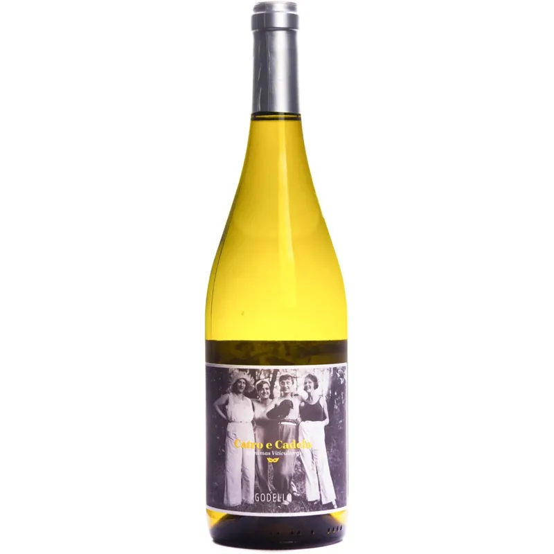 Anonimas Viticultoras 'Catro e Cadela' Godello, Ribeira Sacra, Spain 2022 Price Drop