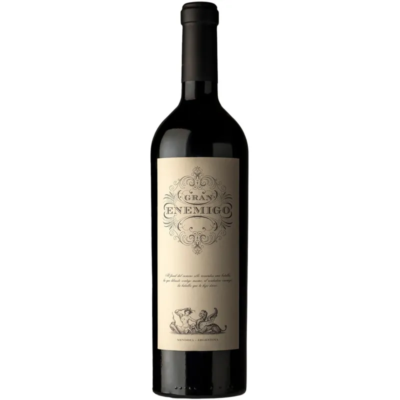 Fan Favorite Bodega Aleanna 'Gran Enemigo' Gualtallary Single Vineyard Cabernet Franc 2020