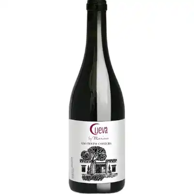 Bodega Cueva by Mariano Tinto, Utiel-Requena, Spain 2018 Trending