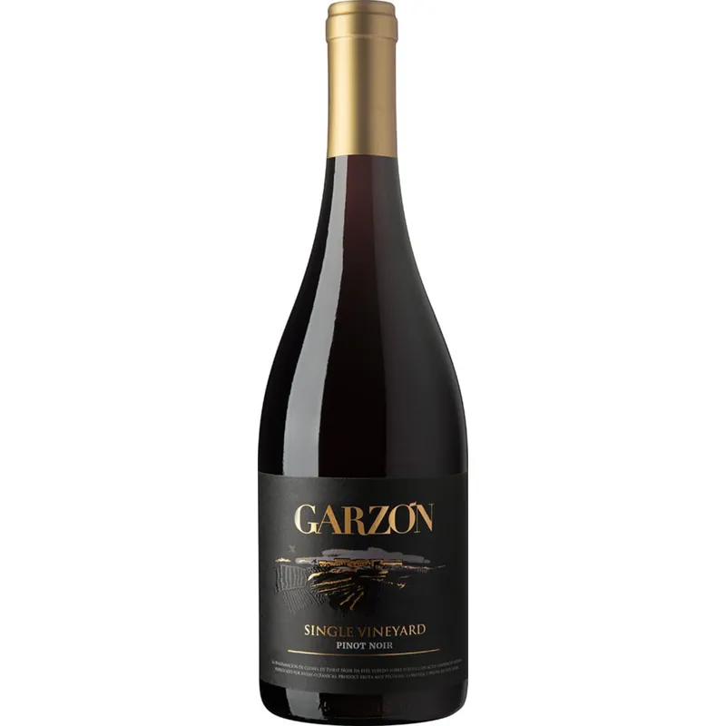 Bodega Garzon Single Vineyard Pinot Noir 2022 Last Chance
