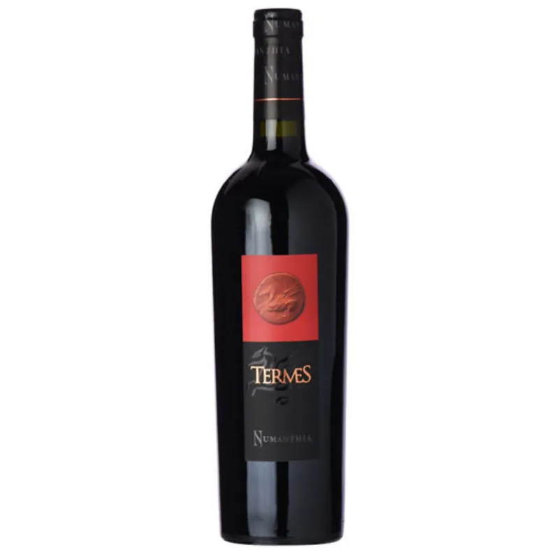 One Day Deal Bodega Numanthia Termes Toro, Spain 2021