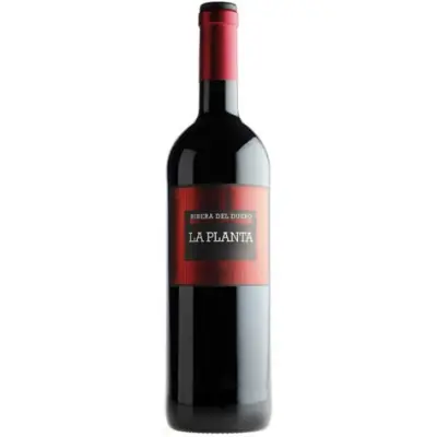Bodegas Arzuaga Navarro 'La Planta', 2023 Ribera del Duero, Spain Clearance
