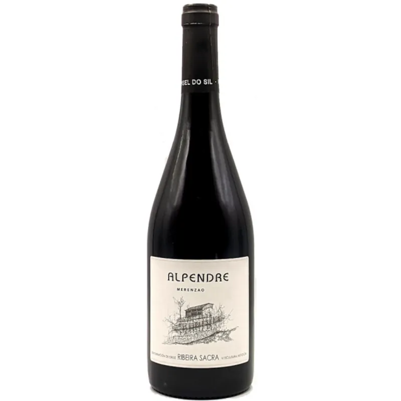 Bodegas Ronsel do Sil 'Alpendre' Merenzao, Ribeira Sacra, Spain 2021 Top Rated