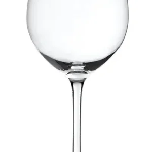 Seasonal Sale Spiegelau Salute White Wine Glass 4-pack 16.4 oz