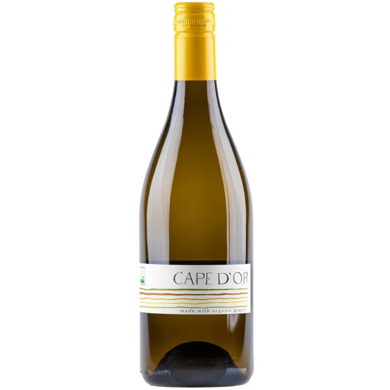 Free Delivery Cape D'Or Chenin Blanc, Western Cape, South Africa 2022 Case (6x750ml)