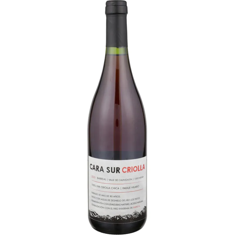 Cara Sur Criolla Chica Paraje Hilario, Barreal, Argentina, 2020 Worldwide Shipping