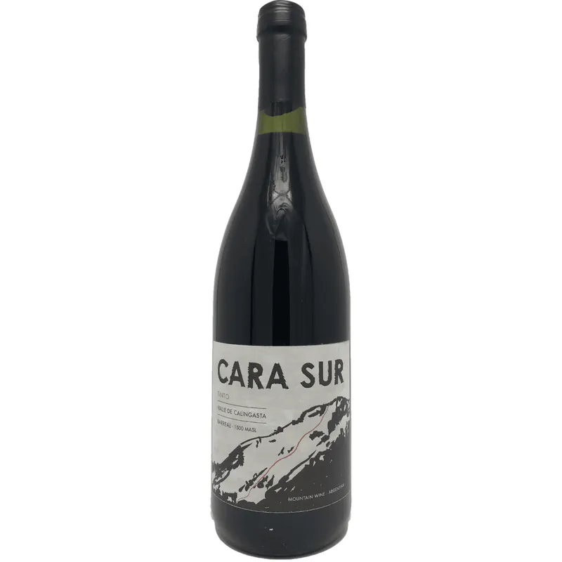 Time-Limited Cara Sur Tinto, Barreal, Argentina 2019 Case (6x750ml)