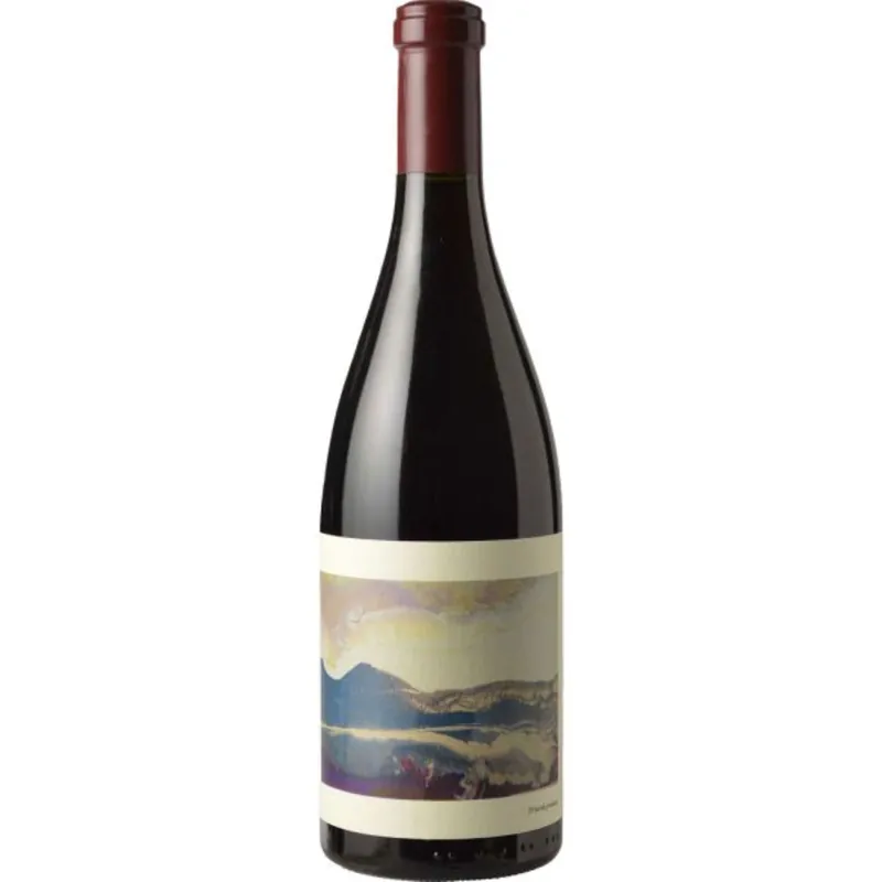 Chanin Bien Nacido Vineyard Pinot Noir, Santa Maria Valley, USA 2021 Worldwide Shipping