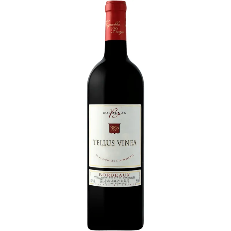 Chateau Belregard-Figeac Tellus Vinea Vignobles Pueyo, Bordeaux, France 2022 Time-Limited