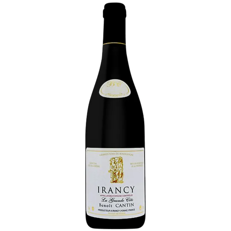 Top Rated Domaine Benoit Cantin Irancy 'La Grande Cote', Burgundy, France 2019