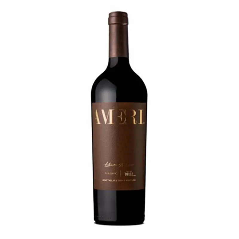 Buy Today Domaine Bousquet Ameri Single Vineyard Malbec 2022