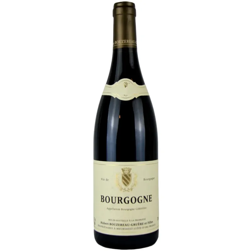 Reduced Price Domaine Hubert Bouzereau-Gruere et Filles Bourgogne Rouge, Burgundy, France 2019
