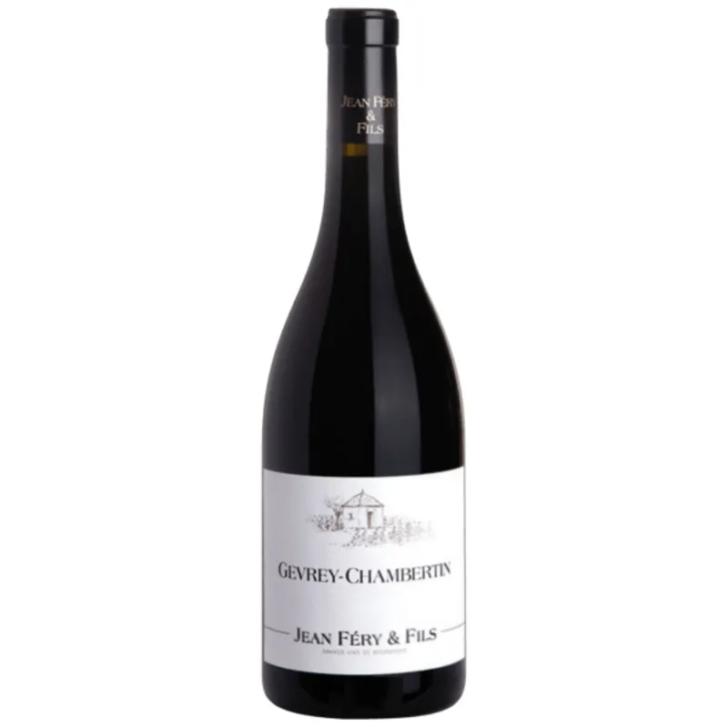 Domaine Jean Fery & Fils Gevrey-Chambertin, Cote de Nuits, France 2021 Affordable