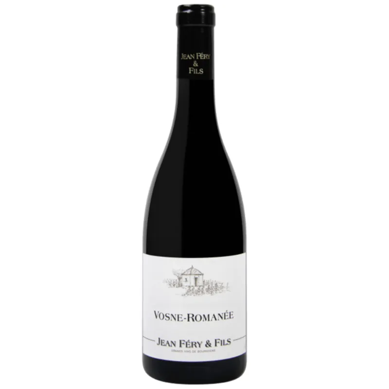 Domaine Jean Fery & Fils Vosne-Romanee, Cote de Nuits, France 2021 Best Seller