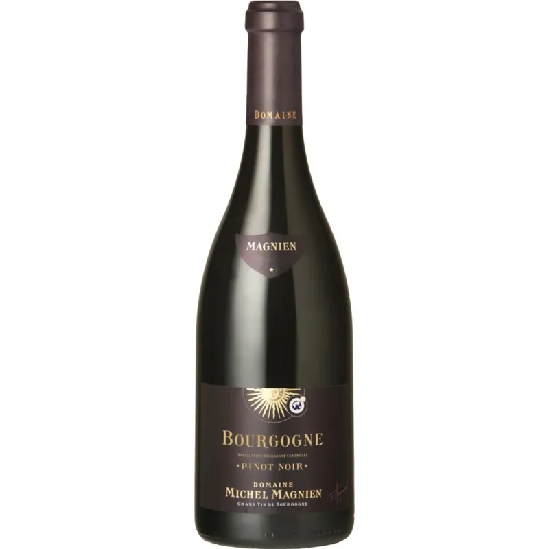 Domaine Michel Magnien Bourgogne Rouge 2022 Special Discount