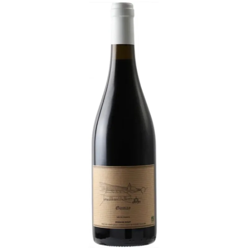 Instant Buy Domaine Migot Cotes de Toul Gamay, Moselle, France 2023