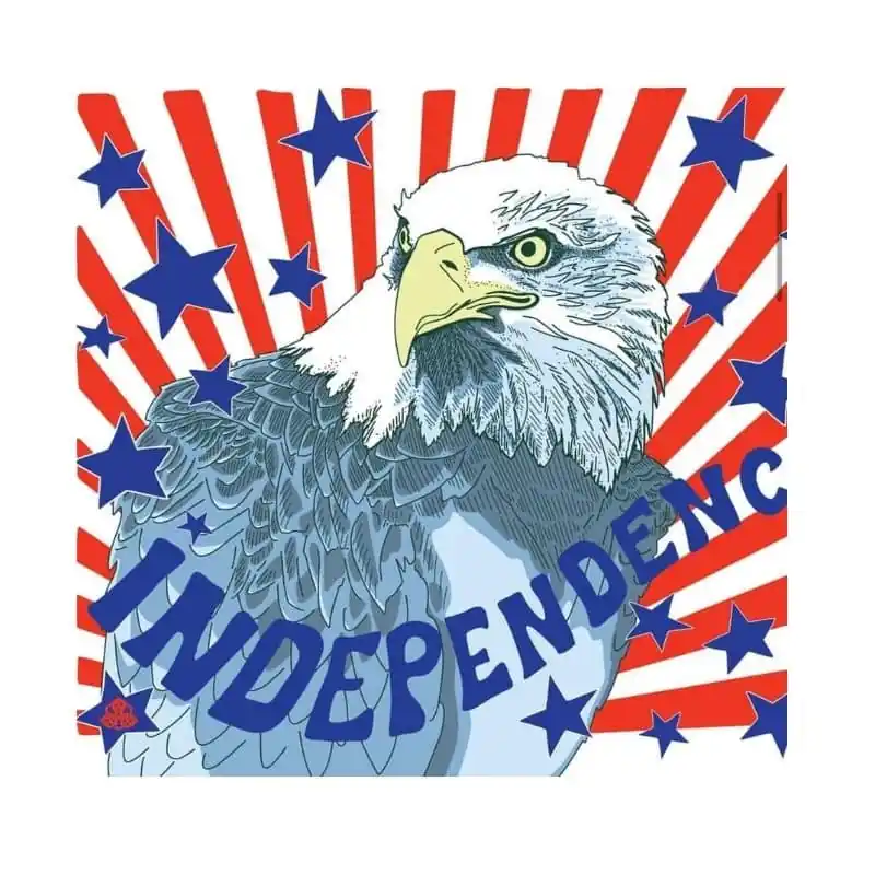 Today Only HIVE INDEPENDENCE PALE 4PK