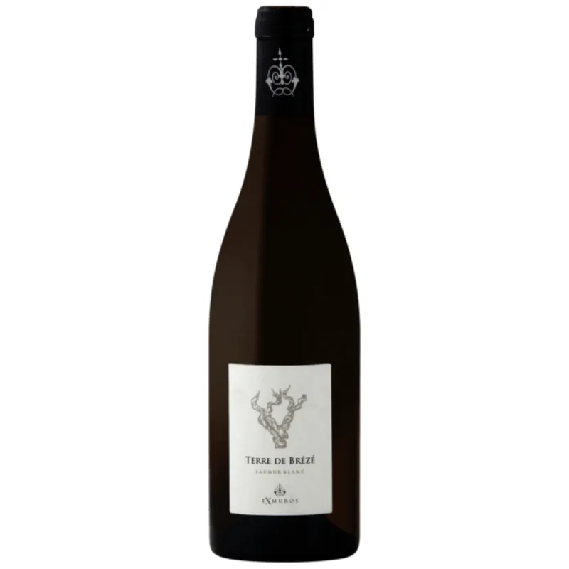 Exmuros Saumur Blanc 'Terre de Breze', Loire, France 2021 Flash Sale