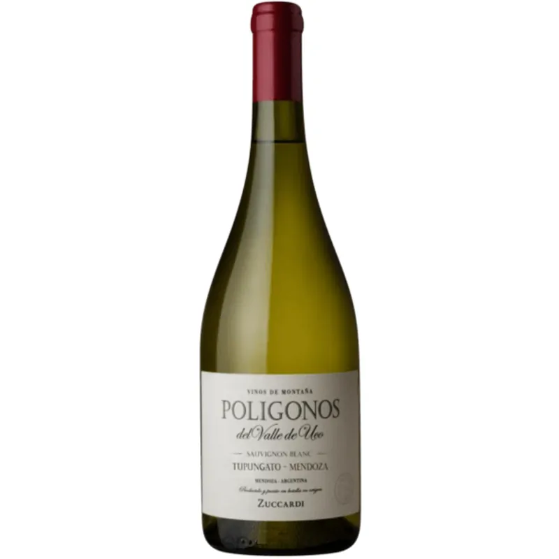Cheap Familia Zuccardi 'Poligonos del Valle de Uco' Sauvignon Blanc 2021
