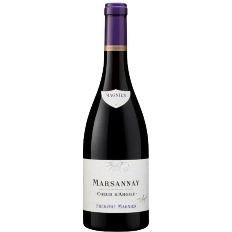 Frederic Magnien Marsannay Saint-Jacques, Rouge Cote de Nuits, France 2019 Limited Edition