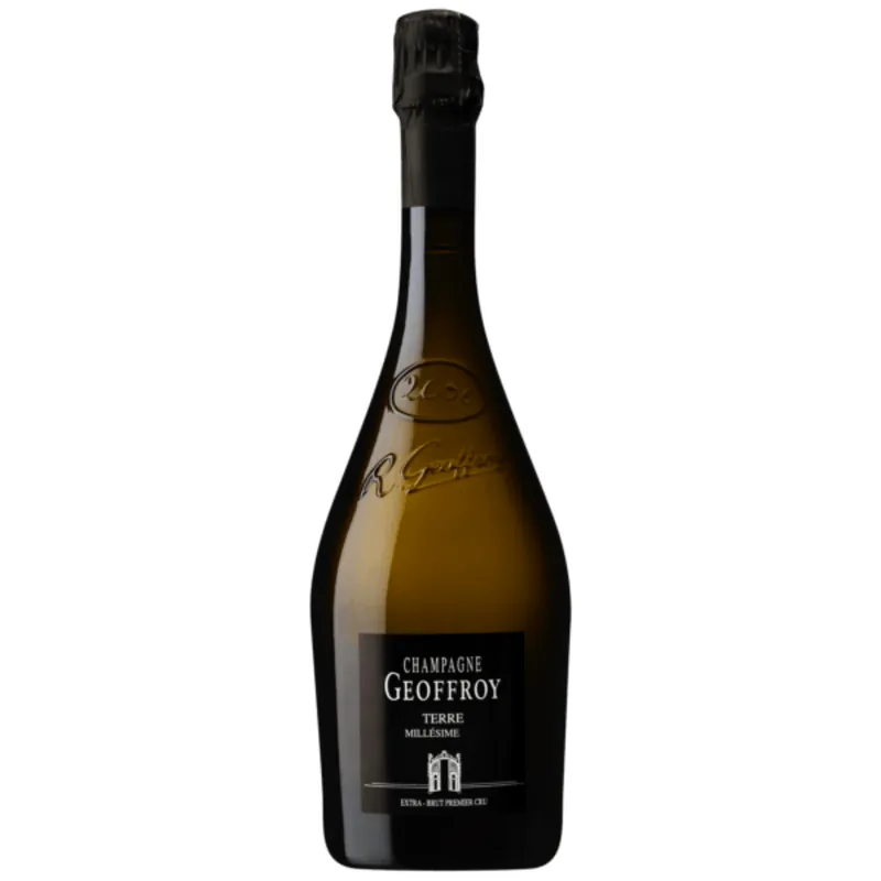 Geoffroy Terre Extra Brut Millesime, Champagne, France 2000 Top Pick