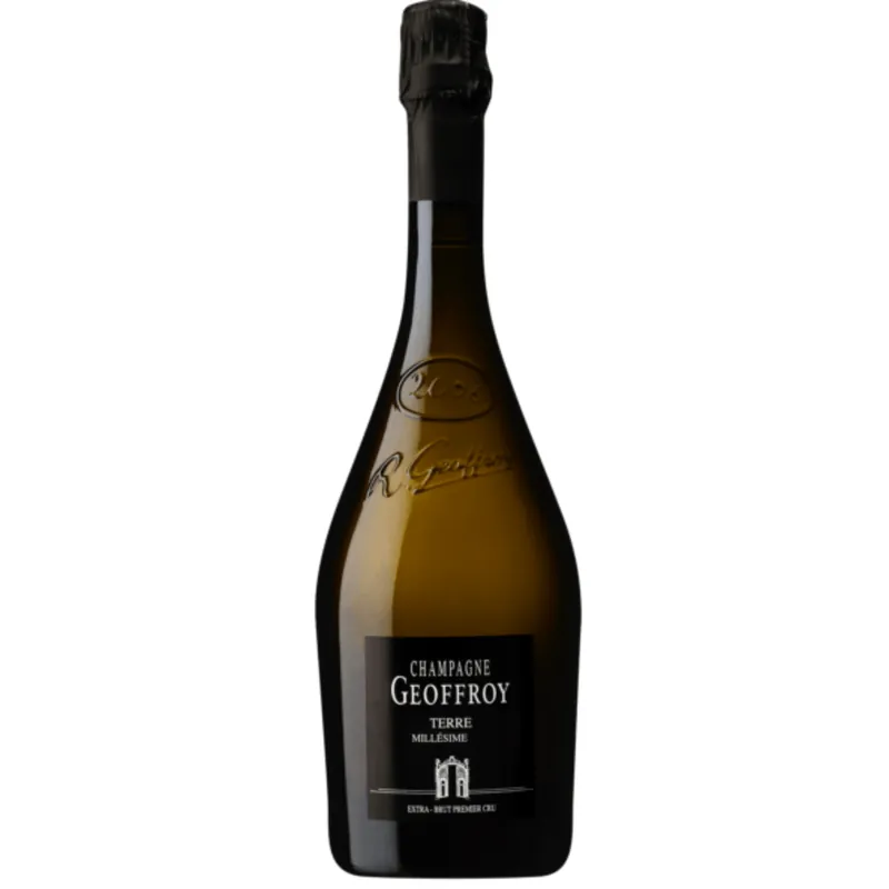 Price Cut Geoffroy Terre Extra Brut Millesime, Champagne, France 2009