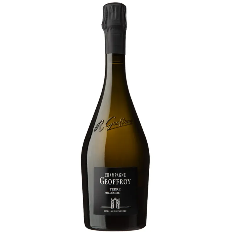 Direct From Manufacturer Geoffroy Terre Extra Brut Millesime, Champagne, France 2012