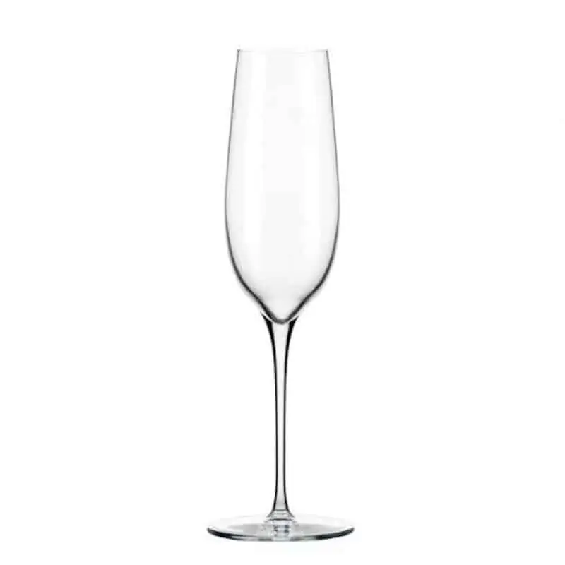 Premium MODERN CHAMPAGNE FLUTE