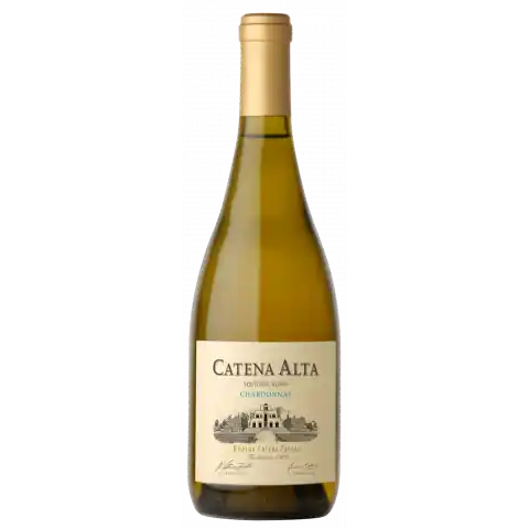 Bargain Catena Alta Chardonnay