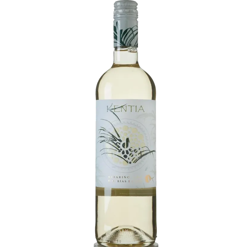 Clearance Kentia Albarino