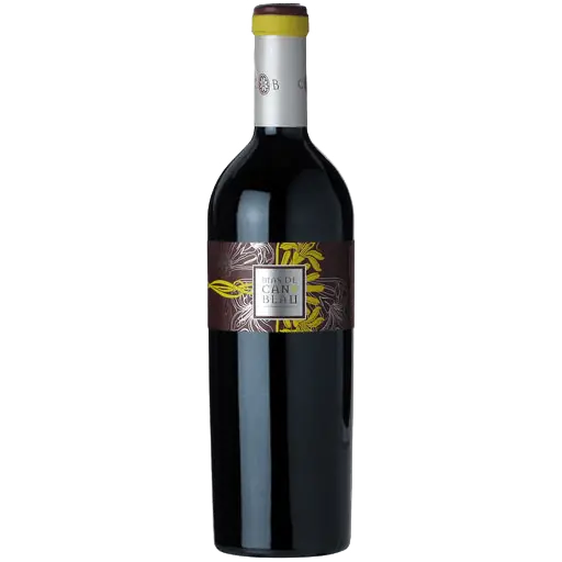 Viral Mas De Can Blau