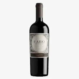 Vina San Pedro Cabo de Hornos Cabernet 2021 Price Cut