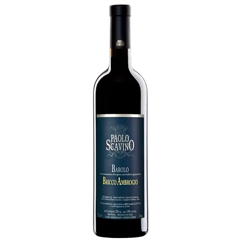 Paolo Scavino Barolo Bricco Ambrogio Super Sale